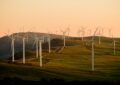What Is Wind Farm Siting And How Is It Determined?