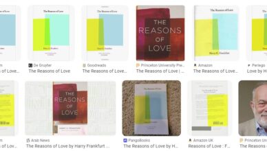 Frankfurt's The Reasons of Love - Summary and Review