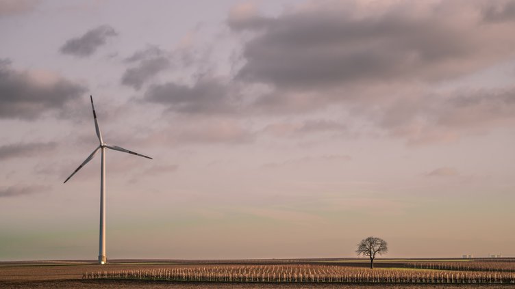 What Is Wind Energy's Impact On Wildlife And Ecosystems?