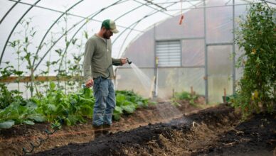 Sustainable Watering Practices: Conserving Water In Your Garden