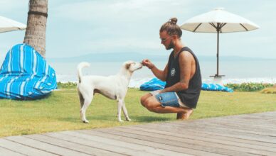 man feeding white dog