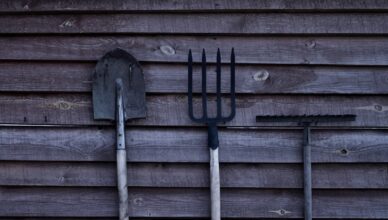 Essential Tools For Every Gardener: A Comprehensive Guide