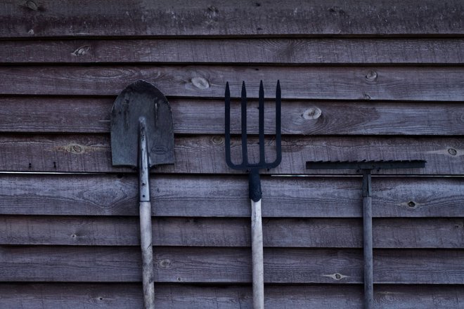 Essential Tools For Every Gardener: A Comprehensive Guide