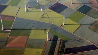 How To Conduct Environmental Assessments For Wind Energy Projects?