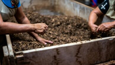 What Is Composting And How To Start A Compost Pile In Your Garden