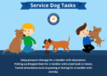 What Is the Role of Service Dogs?